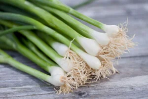 Hợp Tác Xã Nông Nghiệp Thiện Phúc