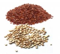 Công Ty TNHH La Hay