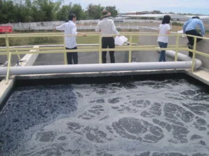 Xử Lý Chất Thải Đông A – Công Ty Cổ Phần Dịch Vụ Đông A