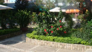 Công Ty TNHH Dịch Thuật Chuyên Nghiệp Hà Nội