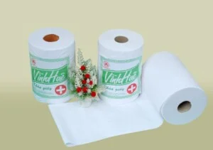 Công Ty Cổ Phần Giấy Vĩnh Huê