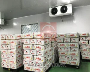 Kho Lạnh Công Nghiệp Tuấn Ngọc – Công Ty TNHH Sản Xuất Thương Mại Dịch Vụ Xuất Nhập Khẩu Tuấn Ngọc