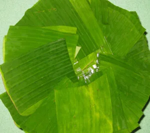 Nông Sản Nguyên Vy – Công Ty TNHH SX – TM – DV Xuất Nhập Khẩu Nguyên Vy