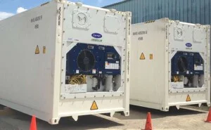 Công Ty Cổ Phần Sản Xuất Global Container