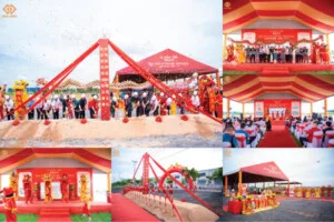 New Links Media – Công Ty TNHH Truyền Thông New Links