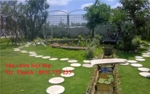 Công Ty Cổ Phần Cảnh Quan Cây Xanh Sài Gòn