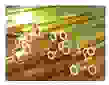 Kim Loại Màu Banhay – Công Ty Cổ Phần Banhay