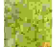 Hóa Chất Trường Nguyên – Công Ty TNHH Thương Mại Dịch Vụ Phát Triển Trường Nguyên