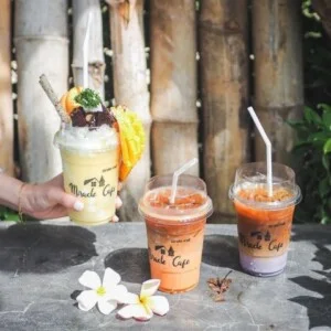 Ly Giấy Sóc Nâu