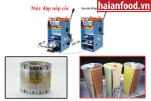 Công Ty TNHH TM DV Và XNK Hải An