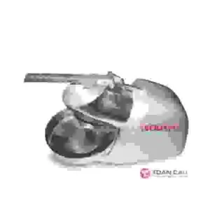 Công Ty TNHH Thương Mại Và Dịch Vụ Sterna Toàn Cầu