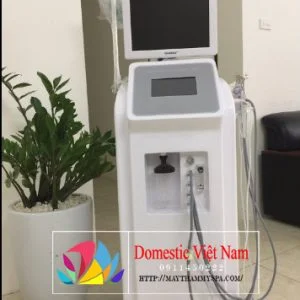 Thiết Bị Spa Domestic Việt Nam – Công Ty TNHH Domestic Việt Nam