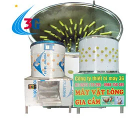 Công Ty TNHH Máy 3G