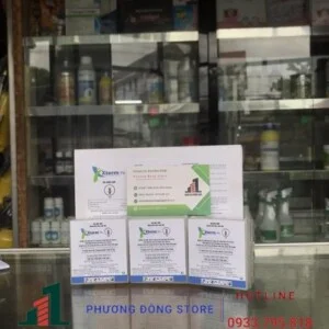 Diệt Côn Trùng Phương Đông – Công Ty TNHH Thương Mại Và DV Hoàng Gia Phương Đông