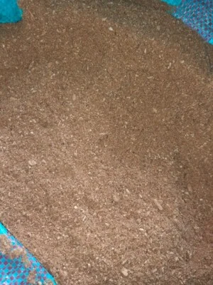 Mụn Dừa, Sơ Dừa Trần Vinh – Cơ Sở Dừa Trần Vinh