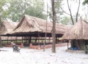 Cơ Sở Thiết Kế Thi Công Nhà Mái Lá Nguyễn Tuấn