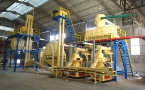 Môi Trường Ngôi Sao Vàng – Công Ty TNHH Một Thành Viên Ngôi Sao Vàng