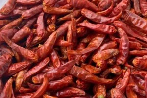 Công Ty TNHH Phát Triển Nông Nghiệp Thịnh Vượng