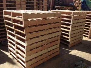 Pallet Gỗ Thanh Quang –  Công Ty TNHH SX TM XNK Gỗ Thanh Quang