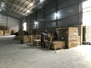 Pallet HVG – Công Ty TNHH Đầu Tư & Sản Xuất HVG