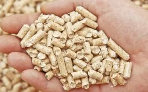 Pellet