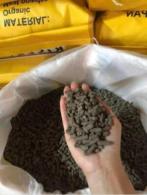 Đất Sạch Tiền Giang – Chi Nhánh Cơ Sở Sản Xuất Vạn Phát