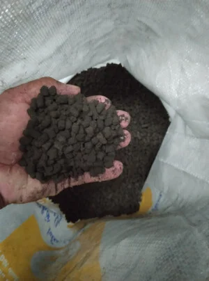 Đất Sạch Tiền Giang – Chi Nhánh Cơ Sở Sản Xuất Vạn Phát