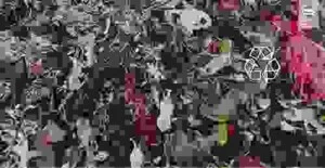 Thu Mua Vải á Châu – Công Ty TNHH Một Thành Viên Sản Xuất Thương Mại Dịch Vụ Môi Trường á Châu