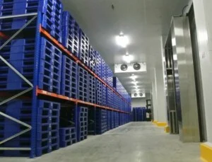 01 09cold Chain Dc 1