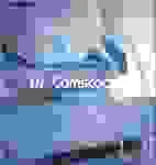 Túi Nilong Tân Hồng Phát – Công Ty TNHH Bao Bì Và Dịch Vụ Vận Tải Tân Hồng Phát