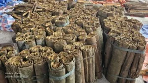 Túi Nilong Tân Hồng Phát – Công Ty TNHH Bao Bì Và Dịch Vụ Vận Tải Tân Hồng Phát