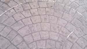 Công Ty TNHH Một Thành Viên Vinagfrc