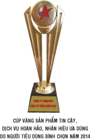 Công Ty TNHH Một Thành Viên Điện Cơ Trần Hưng Đạo