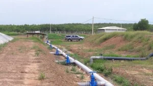 Nhà Thầu Cơ Điện Quang Điện – Công Ty TNHH Một Thành Viên Quang Điện