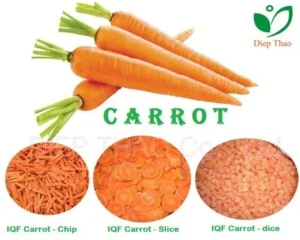 620carot