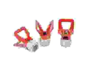 B­im20b¶o20vo20bdc