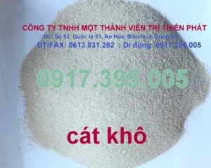 Chi Nhánh Cát Trị Thiên Phát – Công Ty TNHH Một Thành Viên Trị Thiên Phát