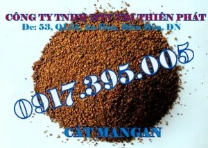 Chi Nhánh Cát Trị Thiên Phát – Công Ty TNHH Một Thành Viên Trị Thiên Phát