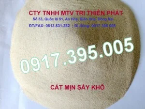 Chi Nhánh Cát Trị Thiên Phát – Công Ty TNHH Một Thành Viên Trị Thiên Phát