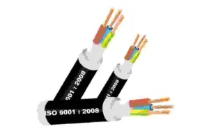 Dây Cáp Điện Thái Bình – Công Ty Cổ Phần Thiết Bị Điện Thái Bình