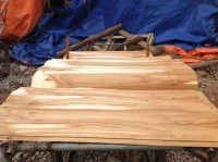 Công Ty TNHH Cát Tường