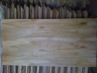 Công Ty TNHH Cát Tường