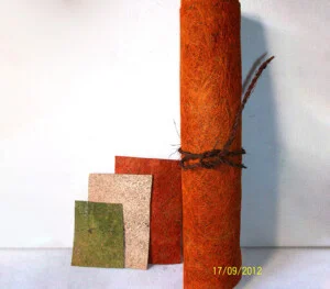 Sản Phẩm Từ Dừa Kim Bôi – Công Ty Trách Nhiệm Hữu Hạn Kim Bôi Trà Vinh