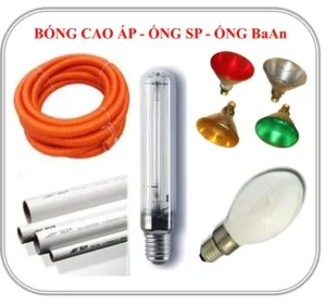 Công Ty TNHH Quang Điện Quang