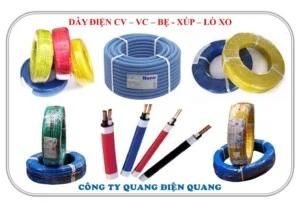 Công Ty TNHH Quang Điện Quang