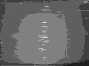 Công Ty TNHH Petrochemicals Trading Vietnam