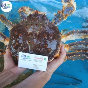 Hải Sản Giang Ghẹ – Công Ty TNHH Thương Mại Dịch Vụ Hải Sản 68