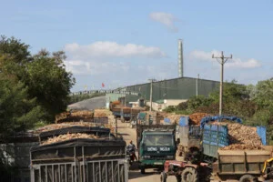 Tinh Bột IFD STARCH – Công Ty TNHH Tư Vấn Và Đầu Tư I.F.D Group