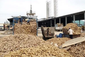 Tinh Bột IFD STARCH – Công Ty TNHH Tư Vấn Và Đầu Tư I.F.D Group