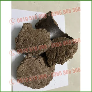 Thức Ăn Chăn Nuôi Ân Phát – Công Ty TNHH Thương Mại Dịch Vụ Xuất Nhập Khẩu Ân Phát